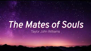 The Mates of Soul - Taylor John Williams ( Lyrics ) || Tiktok Music