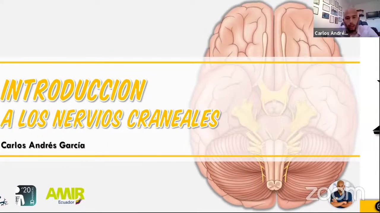 Introducción a los Nervio Craneales