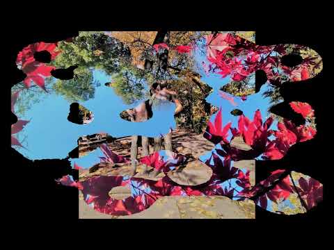 Brazen Abbot - When November Reigns (Lyrics in description)