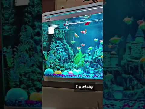 New tank setup with sand fall fountain. #aquarium #fishtank #marineworldfishes