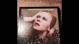 ~Robyn Hitchcock and friends~ Hunky Dory ...LIVE! ~