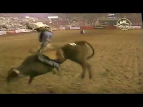 Baby Jacket bucks Tater Porter - 04 PBR Ogden