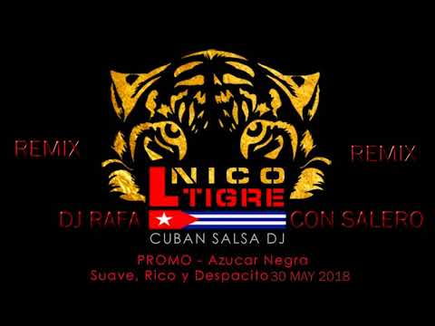 Dj Rafa Con Salero / SALSA FLAMENCA 2018 REMIX