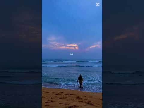 Beach vibe 🌴🌊🫶❤️ #shorts #srilanka #youtubeshorts #beachvibes