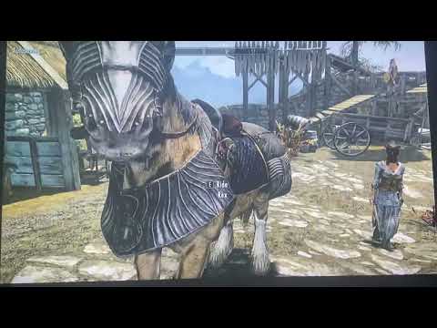 Skyrim Anniversary Edition (Modded) - Walkthrough Part 25: A little Whiterun guard retreat