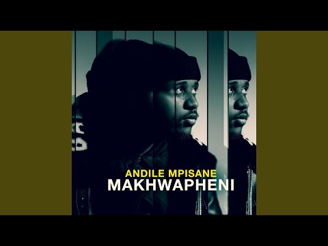 Andile Mpisane - Makhwapheni Feat Ntokzin  (Official Audio) AMAPIANO