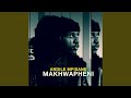 Andile Mpisane Makhwapheni Feat Ntokzin Official Audio AMAPIANO