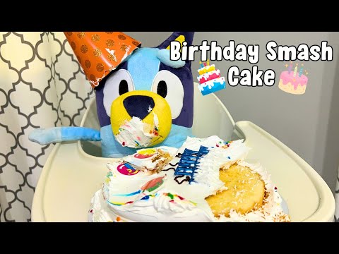 Baby Bluey Birthday Smash Cake and Muddy Mess | Baby Bluey Plush Birthday Surprise!