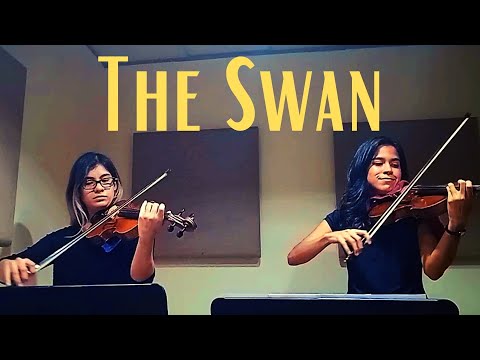Saint-Saens - The Swan (Violin Duet)