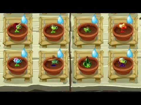 Plants vs Zombies 2 - All Animated Pea Plants in Zen Garden
