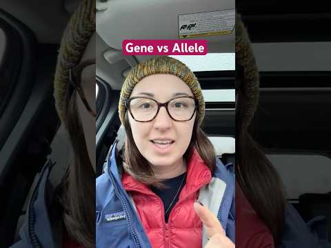 Career Goal: help people understand ￼gene vs allele. #scicomm #genetics