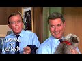 Djinn Djinn Eats Dr Bellows Pants I Dream Of Jeannie