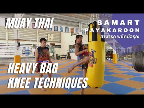 Punching Bag Knees With Samart Payakaroon สามารถ พยัคฆ์อรุณ กระสอบทราย