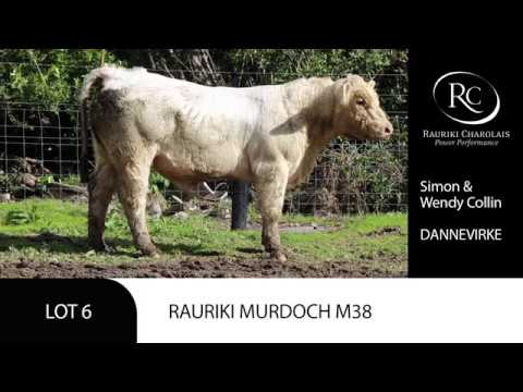 LOT 6 RAURIKI MURDOCH M38