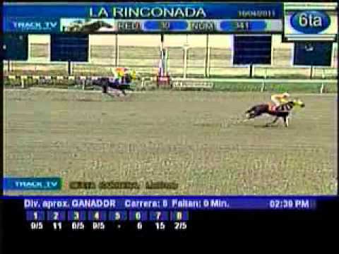 Resumen Sábado, 16 de Abril de 2011 - La Rinconada