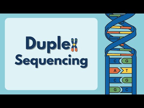 Duplex sequencing: Detecting ultra rare variants