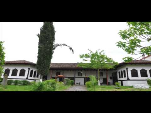 ILIR SALLAKU - Lule Te Bukura Ka Kavaja