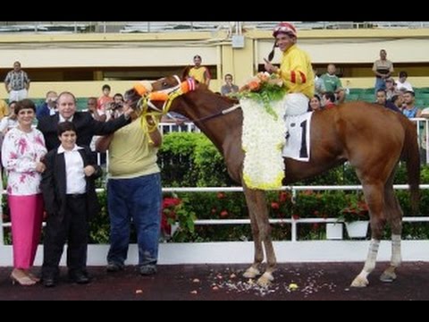 ANDIROBA - COPA VELOCIDAD 2003