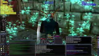 Project 1999 - How to Shaman Solo: Chardok Bank