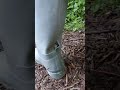 Mein Gummistiefel Hat Große Löcher
