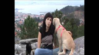 preview picture of video 'COMO VIAJAR CON PERROS Y MASCOTAS EN CANGAS DE MORRAZO,RIAS BAIXAS.GALICIA'