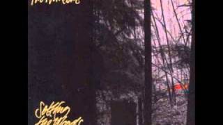 The Walkabouts - Sand & Gravel