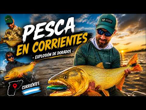 PESCA DE INVIERNO | Explosión de Dorados en Corrientes
