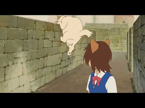 He's Cheating Cat Returns Maze