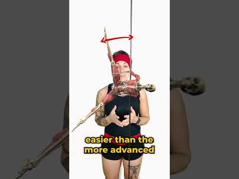 Pole Anatomy: Bat Wing