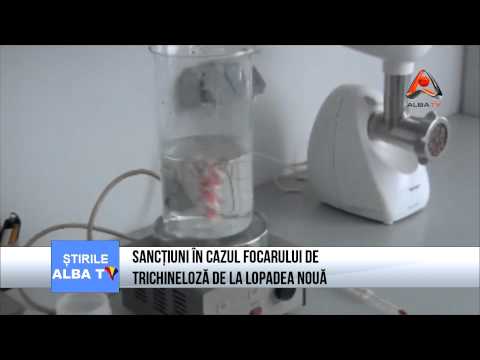 SANCTIUNI IN CAZUL FOCARULUI DE TRICHINELOZA DE LA LOPADEA NOUA