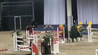 FILOU DE MUZE | CSI 4* LIEGI | 150