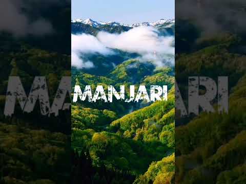 Manjari // Sahadev Kisan #viral #video #shorts