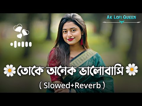 তোকে অনেক ভালোবাসি | Toke Onek Bhalobasi | Slowed Reverb | Bangla Lofi Music | Tiktok Viral Gan 2025