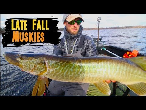 How To Troll For Fall Muskies