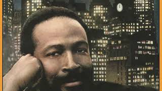 Marvin Gaye - Sexual Healing (High-Quality Audio)