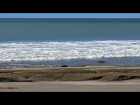 Sentimientos de Verano