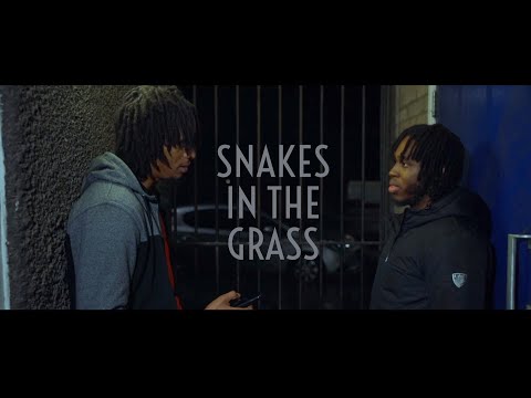 Snakes In The Grass | UK Short film | VSOP PRODUCTIONS