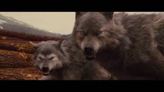 Jacob With His Wolf Pack { Breaking Dawn Part 1 } video