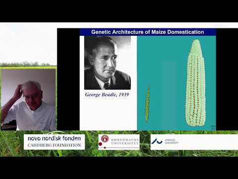 John Doebley_Quantitative Genetic Modeling of Maize Domestication