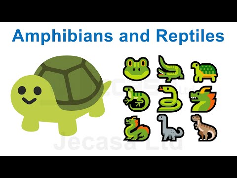 Emoji Meanings Part 14 - Amphibians and Reptiles | Animals | English Vocabulary