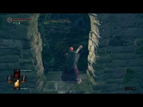 Soul level 1 challenge run pt7.