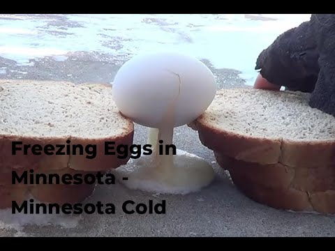 Freezing Eggs in Minnesota   Minnesota Cold