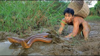 Dig the Mud for Cacth eels , cooking eels