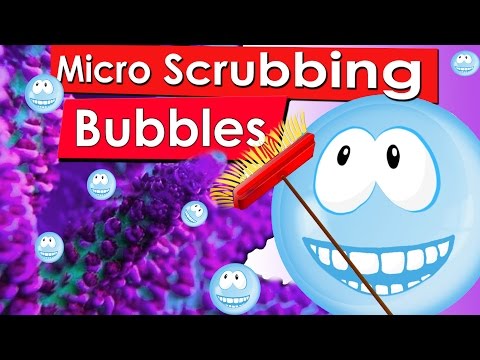 Micro Scrubbing Bubbles in the Reef Tank - Bubbling Method  -nano cleaning your saltwater reef tank
