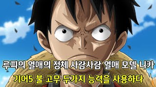 [원피스 분석]레드호크에 담겨진 태양의 신 니카의 힘 그리고 루피의 열매의 정체 사람사람 열매 모델 니카