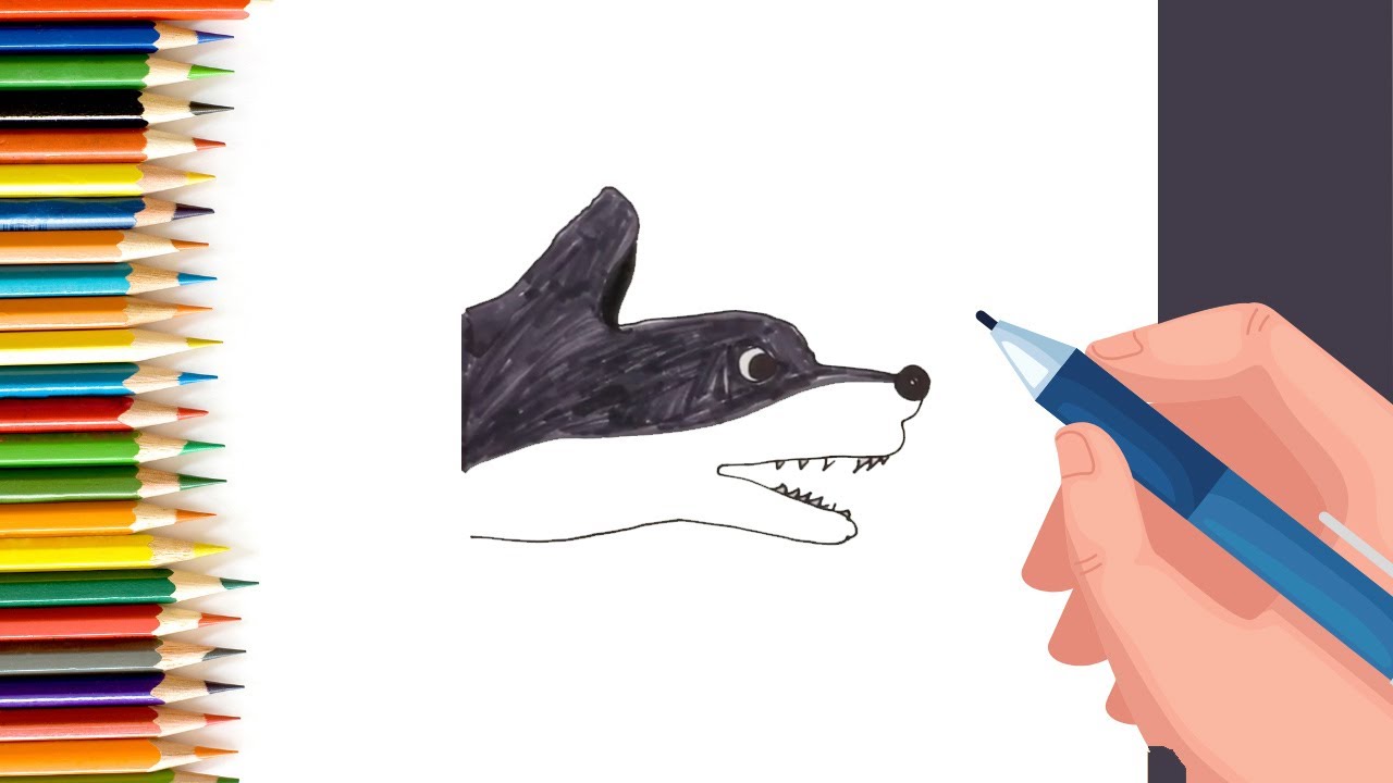 How to Draw a Dog Face