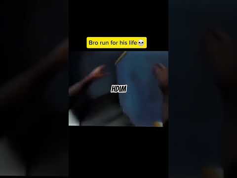 Aggressive dog attack #viralvideo