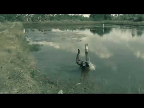 Eps.1 wes ndak kuat mikir