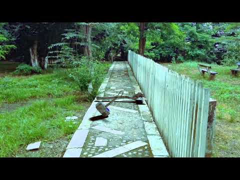 HAMMER&AXE Blender 2.82 Motion Tracking