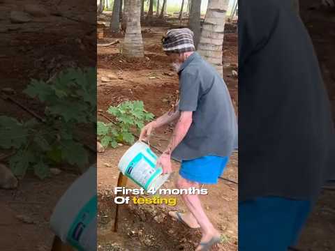 Our organic fertilizer in Malaysia 🇲🇾 #export #coconut #organicfertilizer #fertilizer